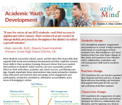 AYD Fact Sheet