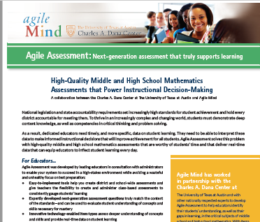 Agile Assessment Fact Sheet